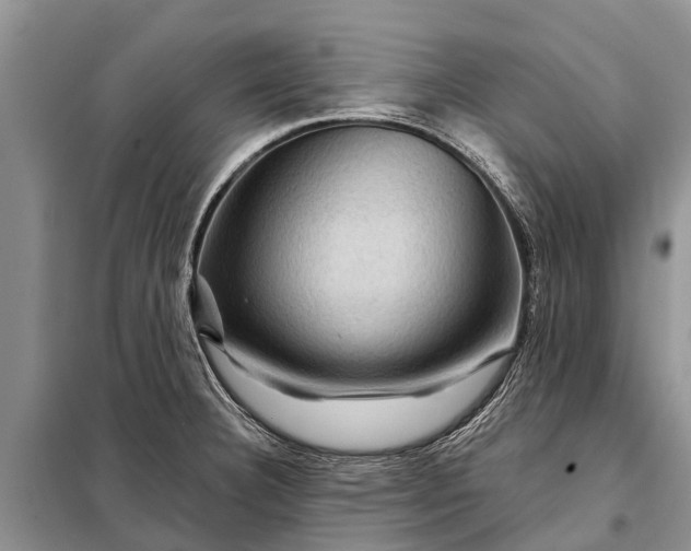 X0000097971332200804071048