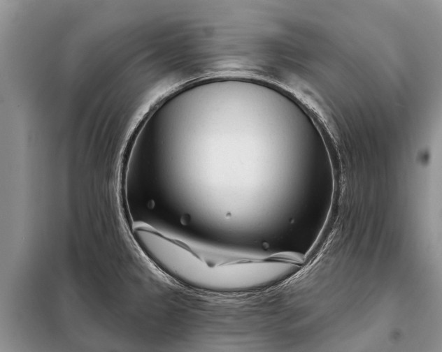 X0000097971333200804071048