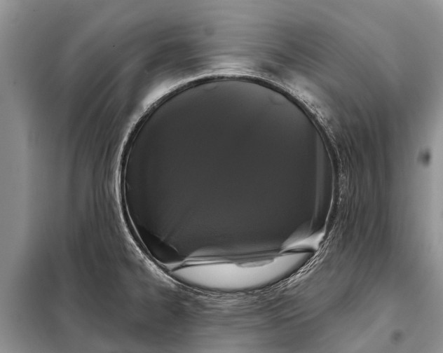 X0000097971334200804071048