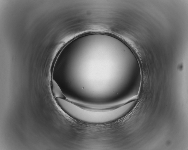 X0000097971335200804071048