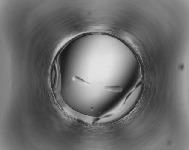 X0000097971336200804071048