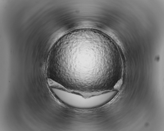 X0000097971337200804071048