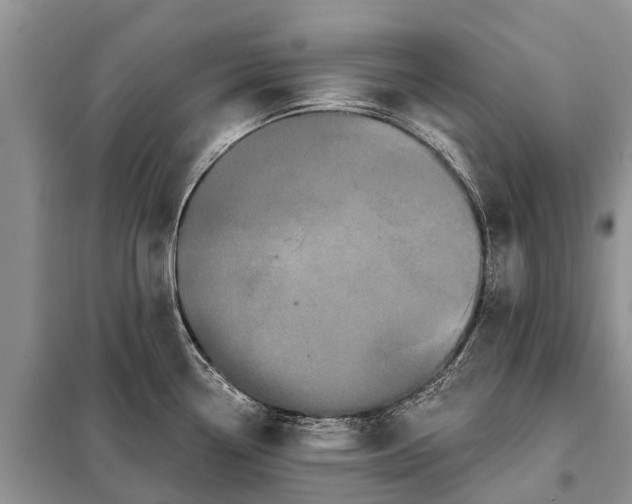 X0000097971338200804071048