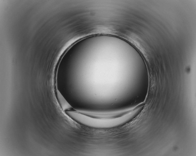 X0000097971339200804071048