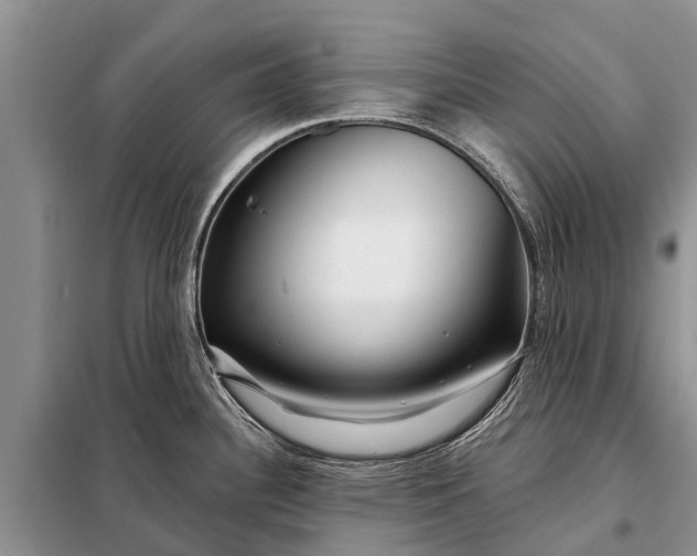 X0000097971340200804071048