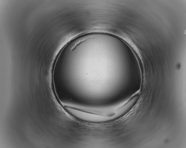 X0000097971341200804071048