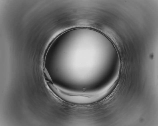 X0000097971342200804071048