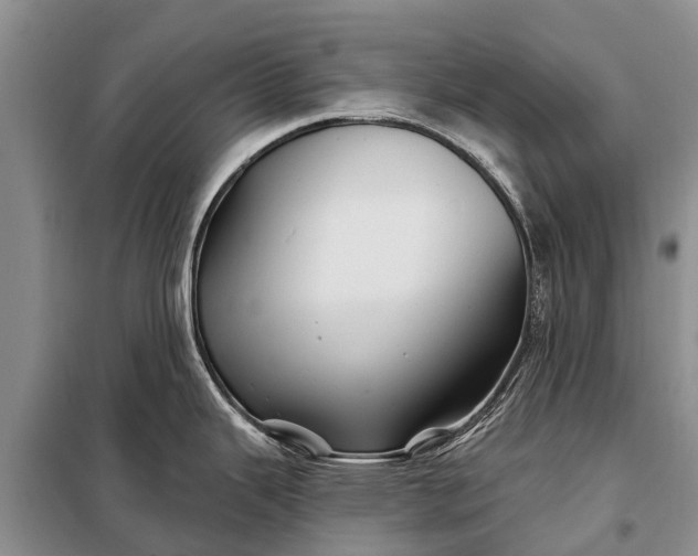 X0000097971343200804071048