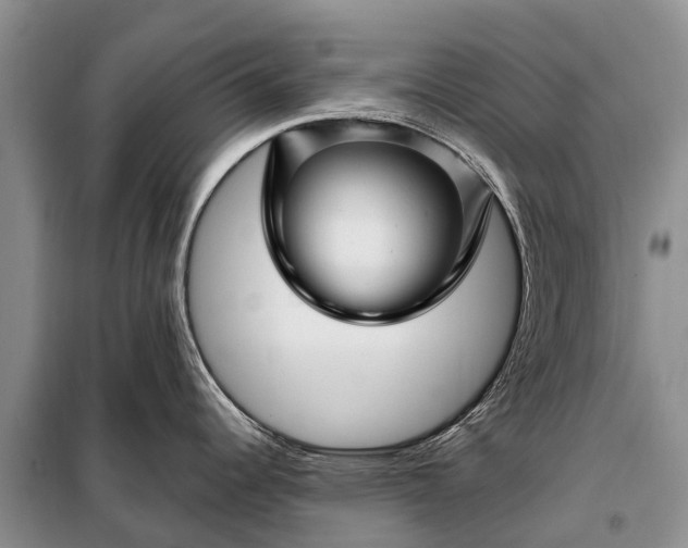 X0000097971344200804071048