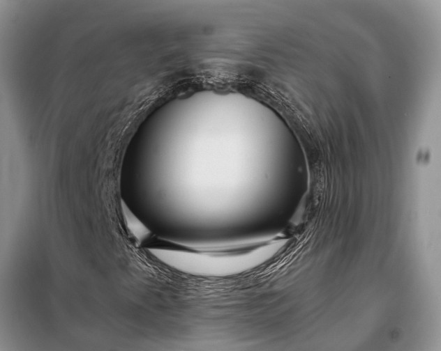 X0000097971345200804071047