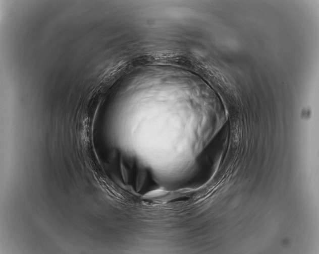 X0000097971346200804071047