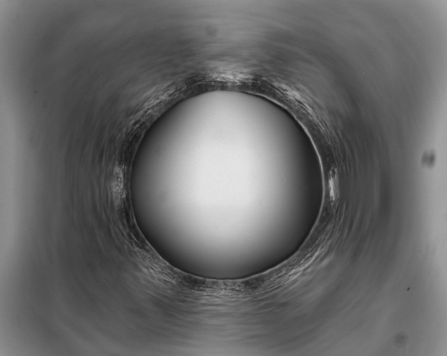 X0000097971347200804071047