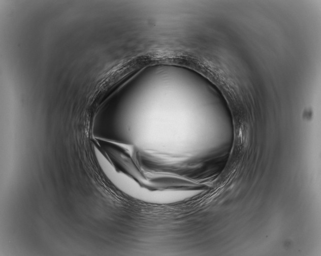 X0000097971348200804071047