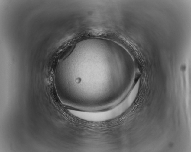 X0000097971349200804071047