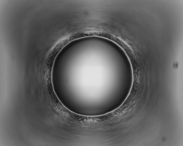 X0000097971351200804071047