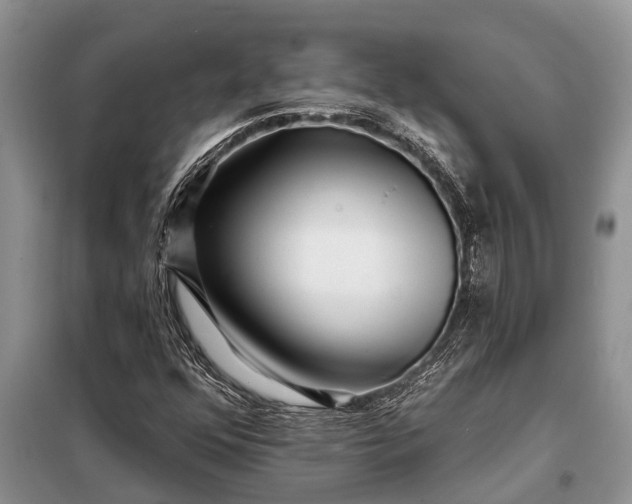 X0000097971352200804071047