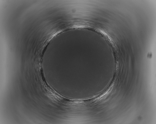 X0000097971353200804071047