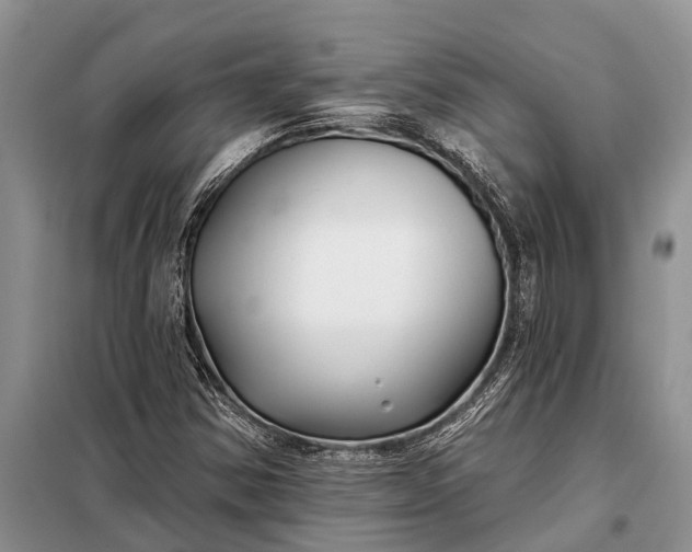 X0000097971354200804071047