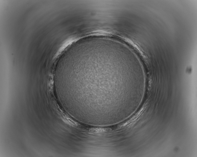 X0000097971355200804071047