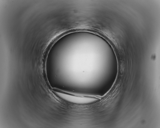 X0000097971356200804071047