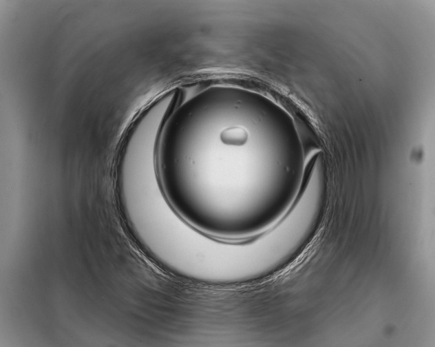 X0000097971357200804071047