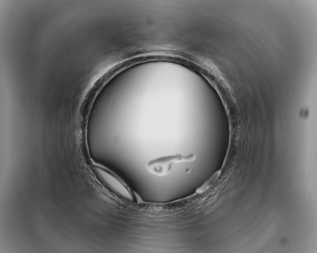 X0000097971360200804071047