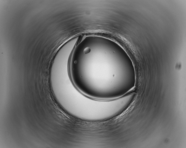 X0000097971361200804071047