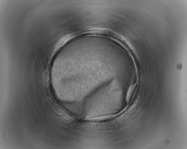 X0000097971362200804071047