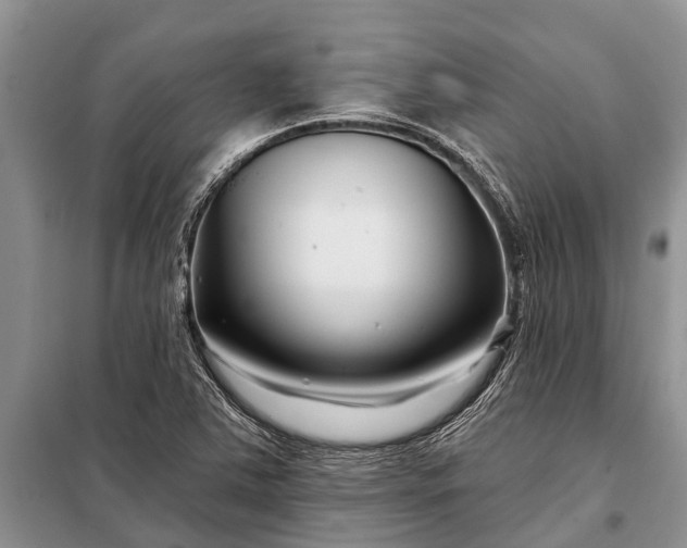 X0000097971363200804071047