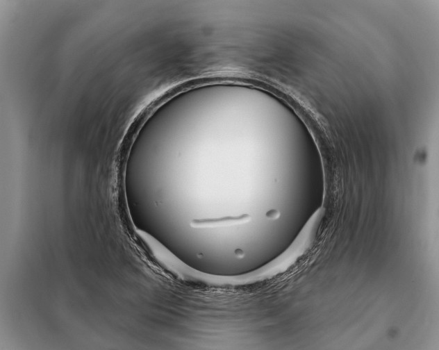 X0000097971364200804071047