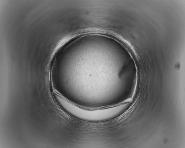 X0000097971365200804071047