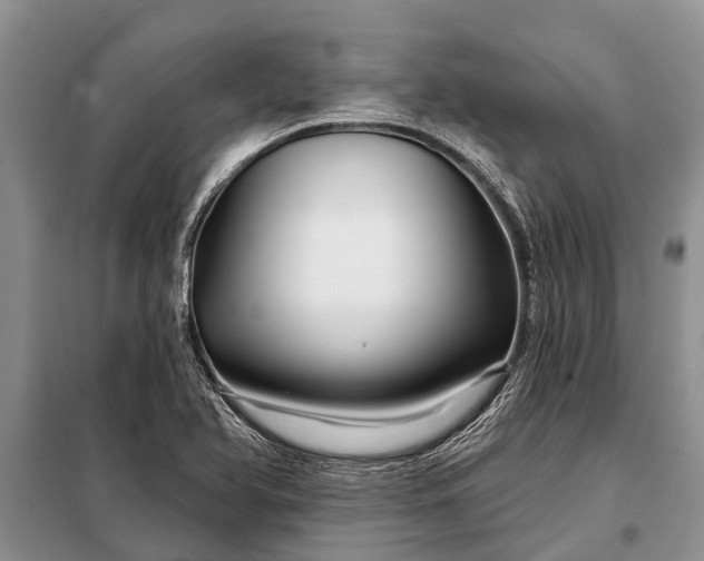 X0000097971366200804071047