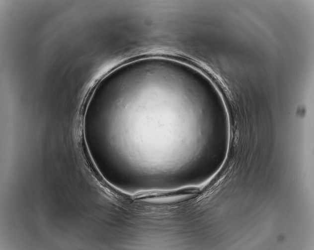 X0000097971367200804071047