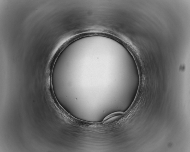 X0000097971368200804071047