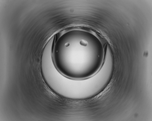 X0000097971369200804071047