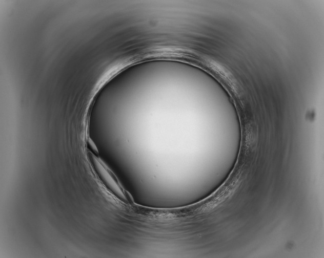 X0000097971370200804071047