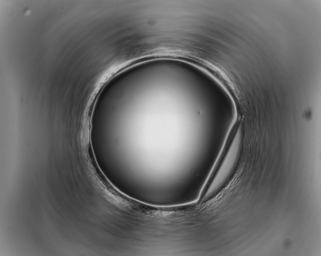 X0000097971371200804071047