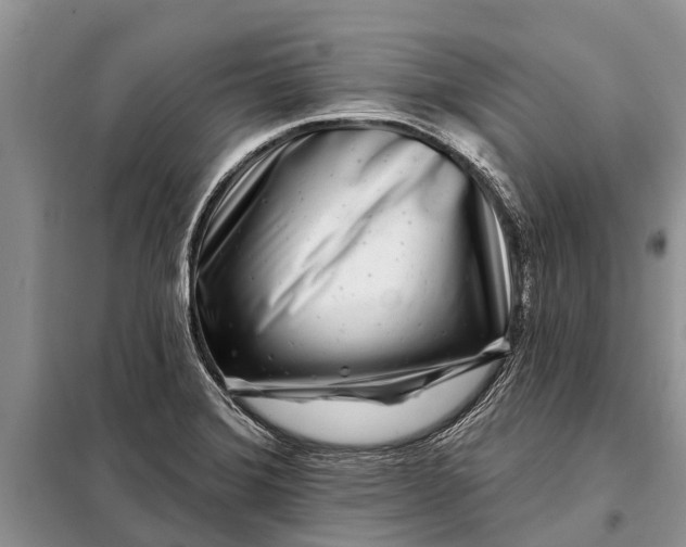 X0000097971372200804071047