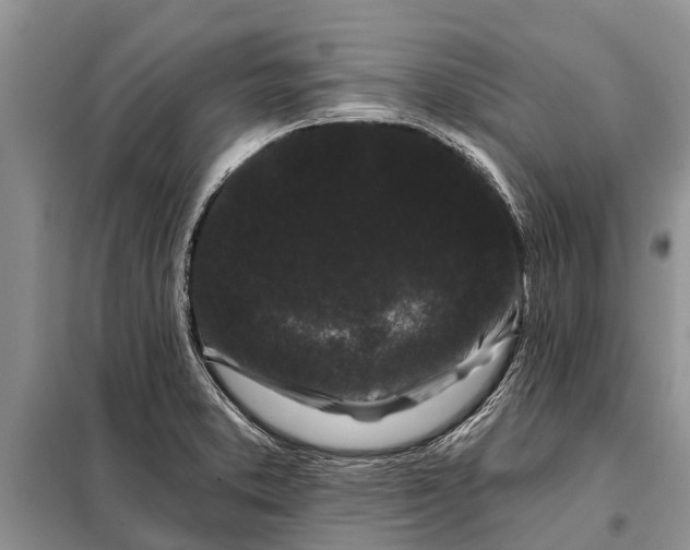 X0000097971373200804071047