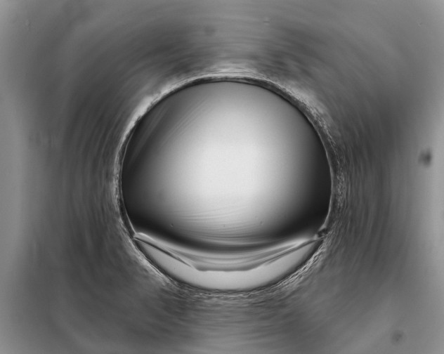 X0000097971374200804071047