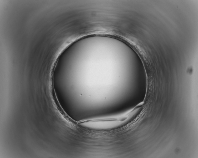 X0000097971375200804071047