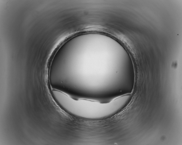 X0000097971376200804071047