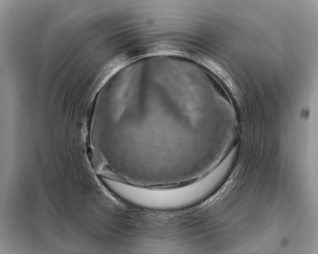 X0000097971377200804071047