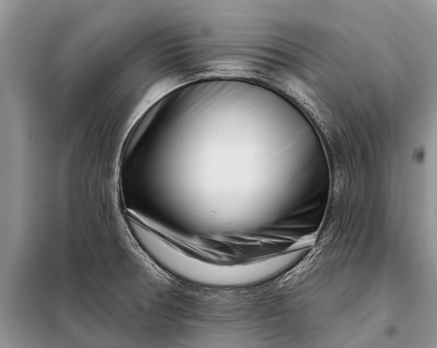 X0000097971378200804071047