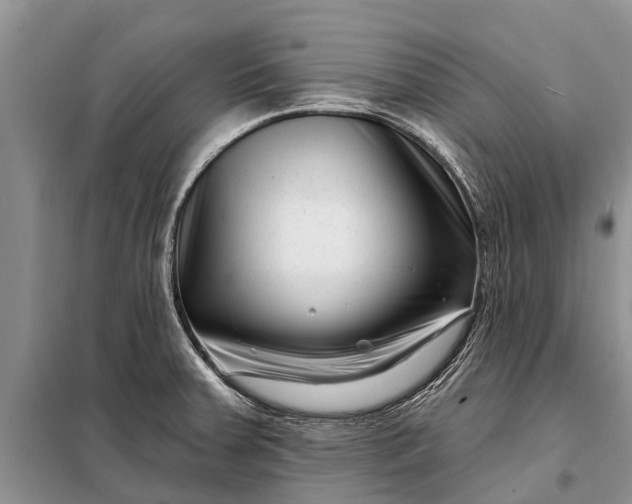 X0000097971379200804071046