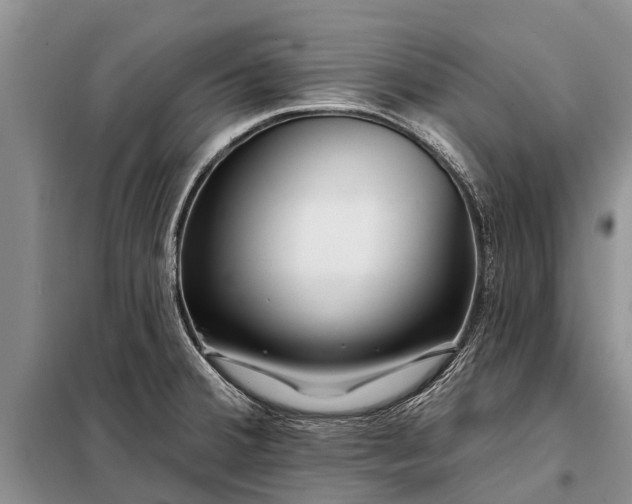 X0000097971380200804071046