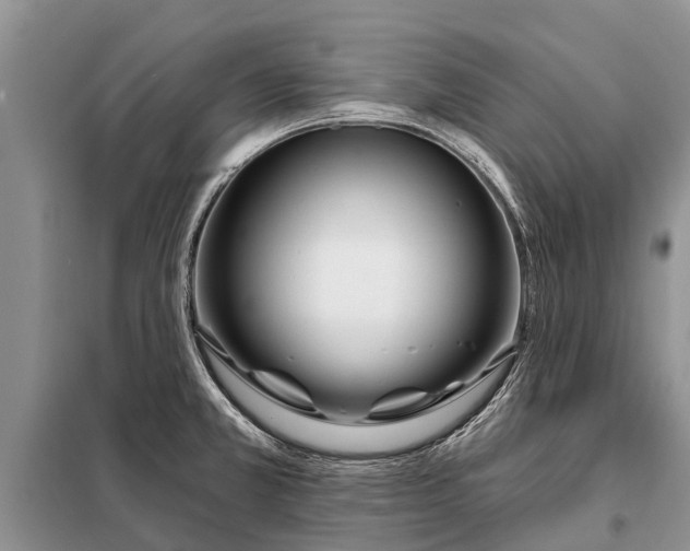 X0000097971381200804071046