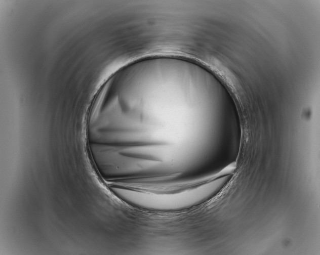 X0000097971382200804071046