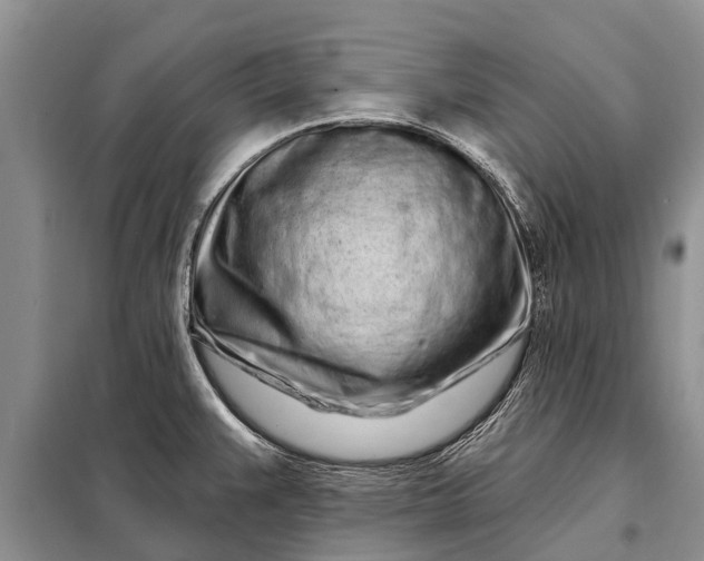 X0000097971383200804071046