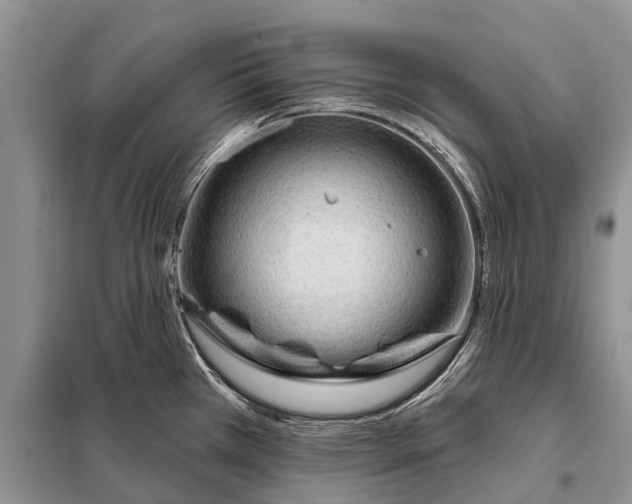 X0000097971385200804071046